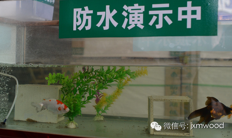 1462953626918169.jpg 環(huán)保板材品牌家湘美廚衛(wèi)專用生態(tài)板.jpg